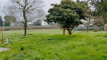 Rustico / casale a Anguillara veneta in Via Nuova - Foto 3