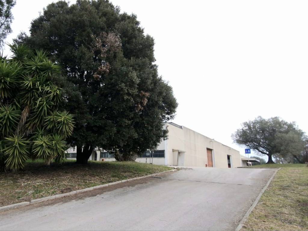 Immobile a Aprilia in Via Nettunense, 40 - Foto 5
