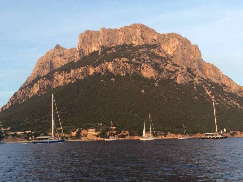 Villa a Loiri porto san paolo in Via Marghine S.N.C. - Foto 5