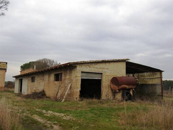 Terreno a Castiglione del lago - Foto 3