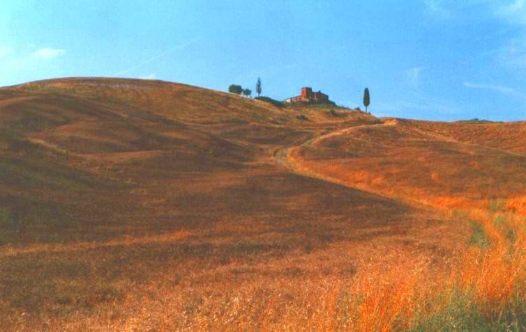 Rustico / casale a Asciano - Foto 2