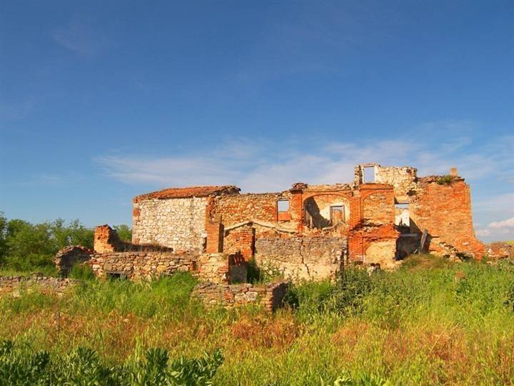 Rustico / casale a Asciano - Foto 4