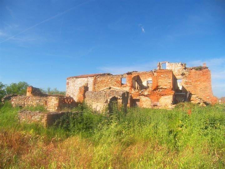 Rustico / casale a Asciano - Foto 5