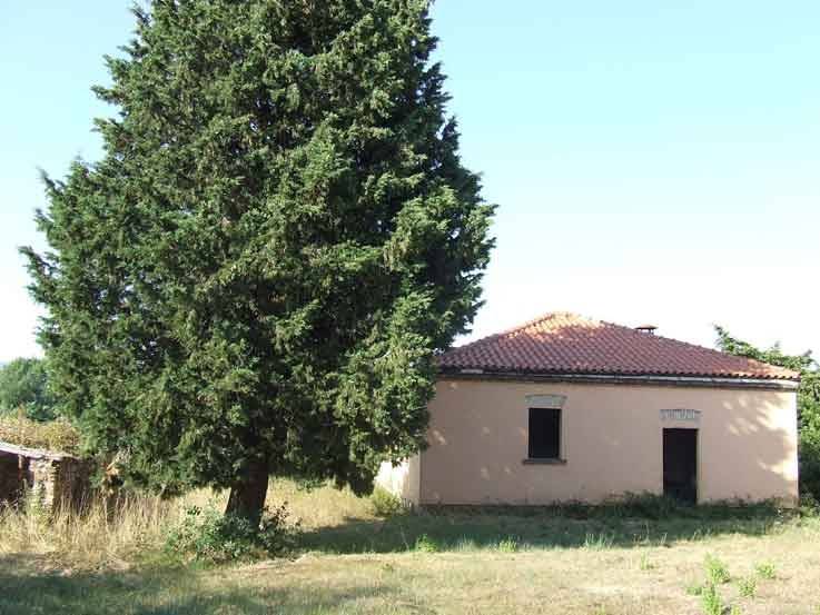 Terreno a Gavorrano - Foto 2