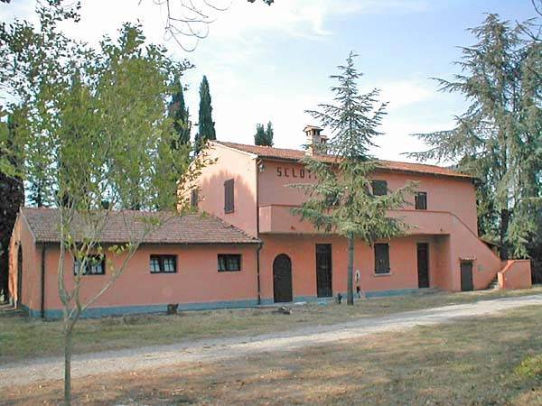 Terreno a Gavorrano - Foto 5