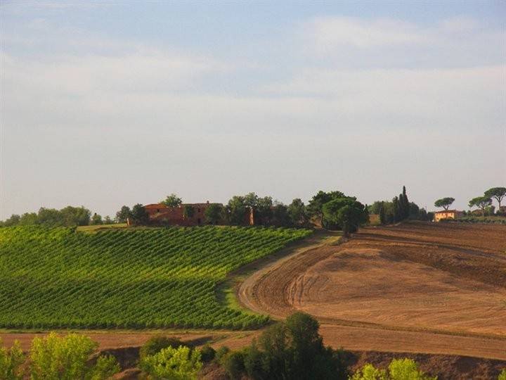 Rustico / casale a Cortona - Foto 2