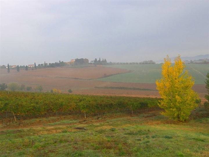 Rustico / casale a Cortona - Foto 2