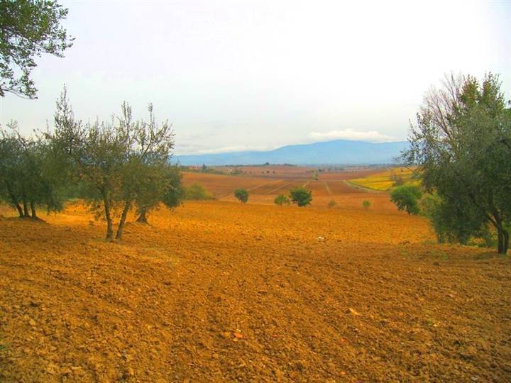 Rustico / casale a Cortona - Foto 2