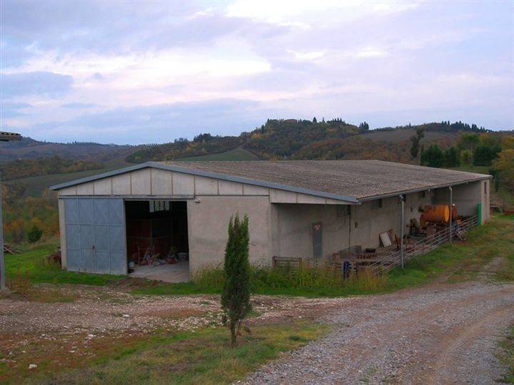 Rustico / casale a Asciano - Foto 5