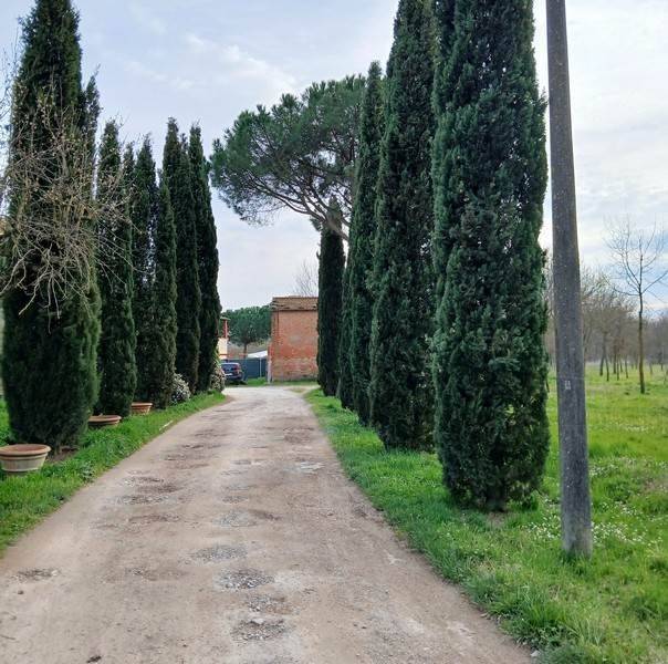 Rustico / casale a Cortona - Foto 2