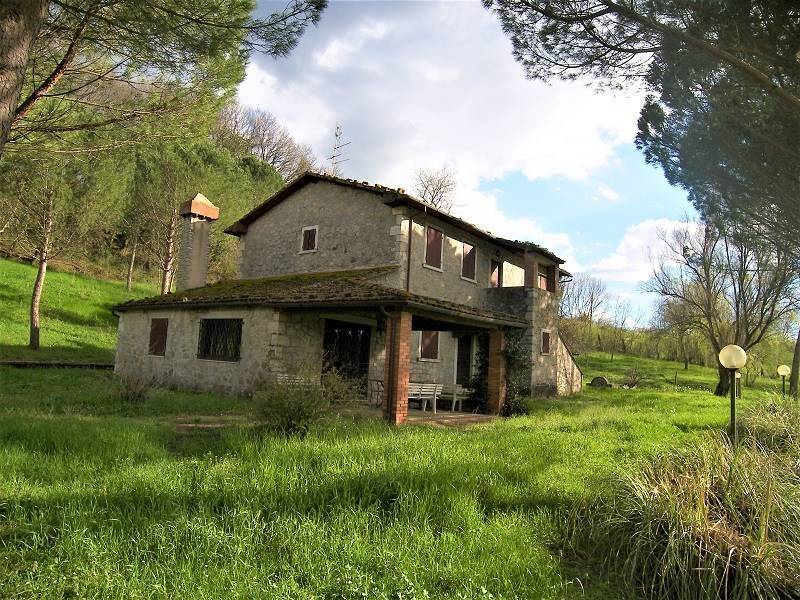 Terreno a Baschi - Foto 2