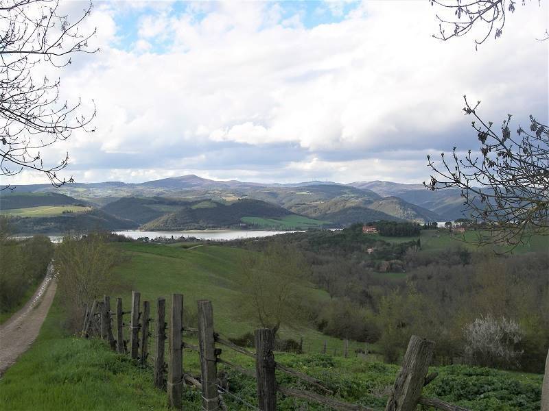 Terreno a Baschi - Foto 3