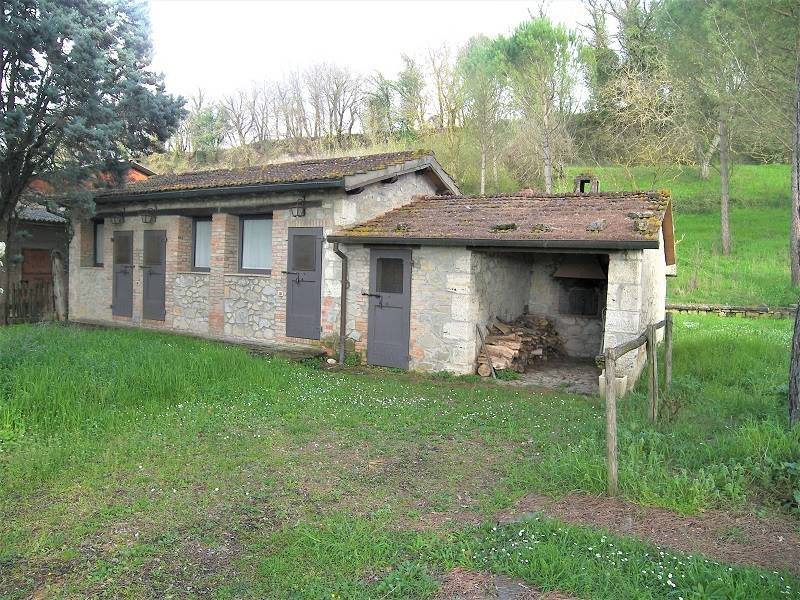 Terreno a Baschi - Foto 5