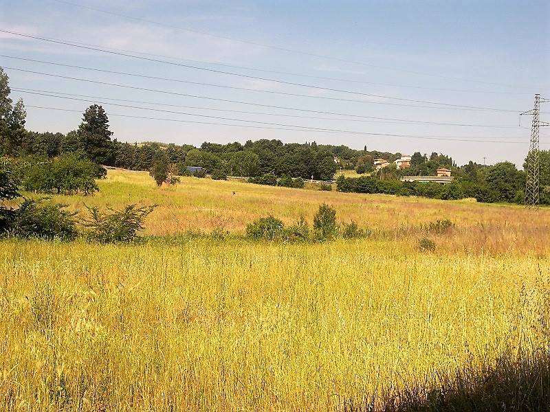 Terreno a Foiano della chiana - Foto 3
