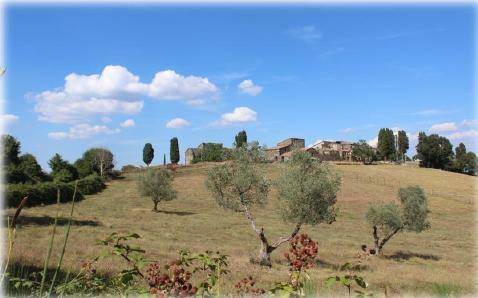 Terreno a Castelnuovo di val di cecina - Foto 2