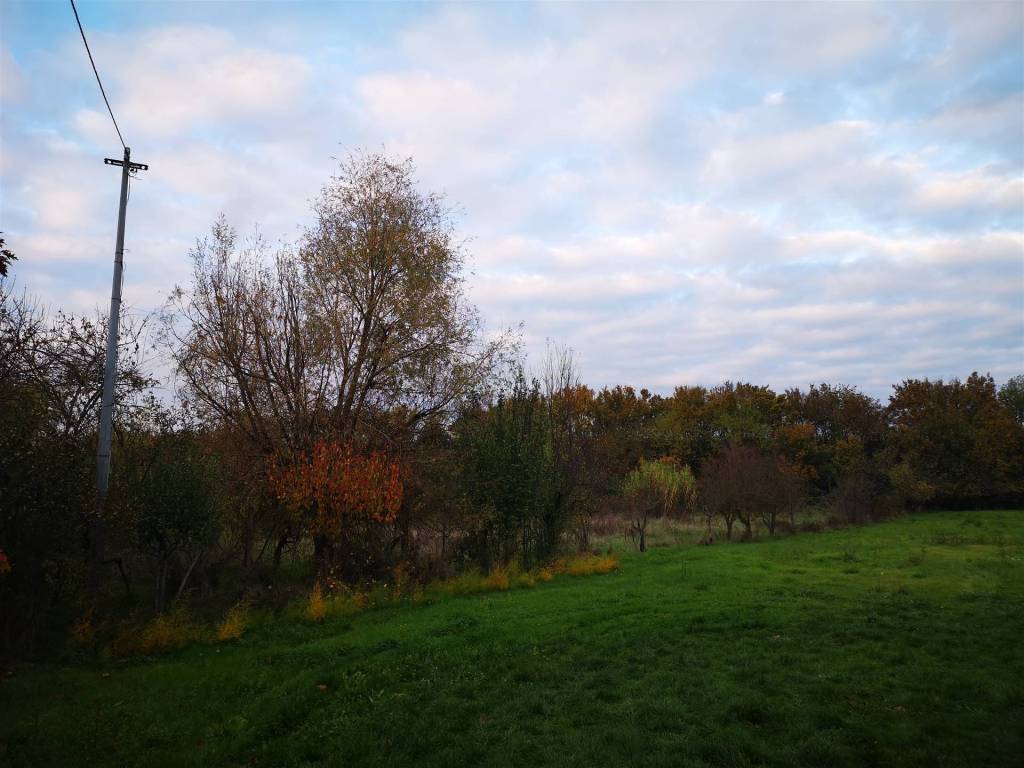 Terreno a Sinalunga - Foto 2