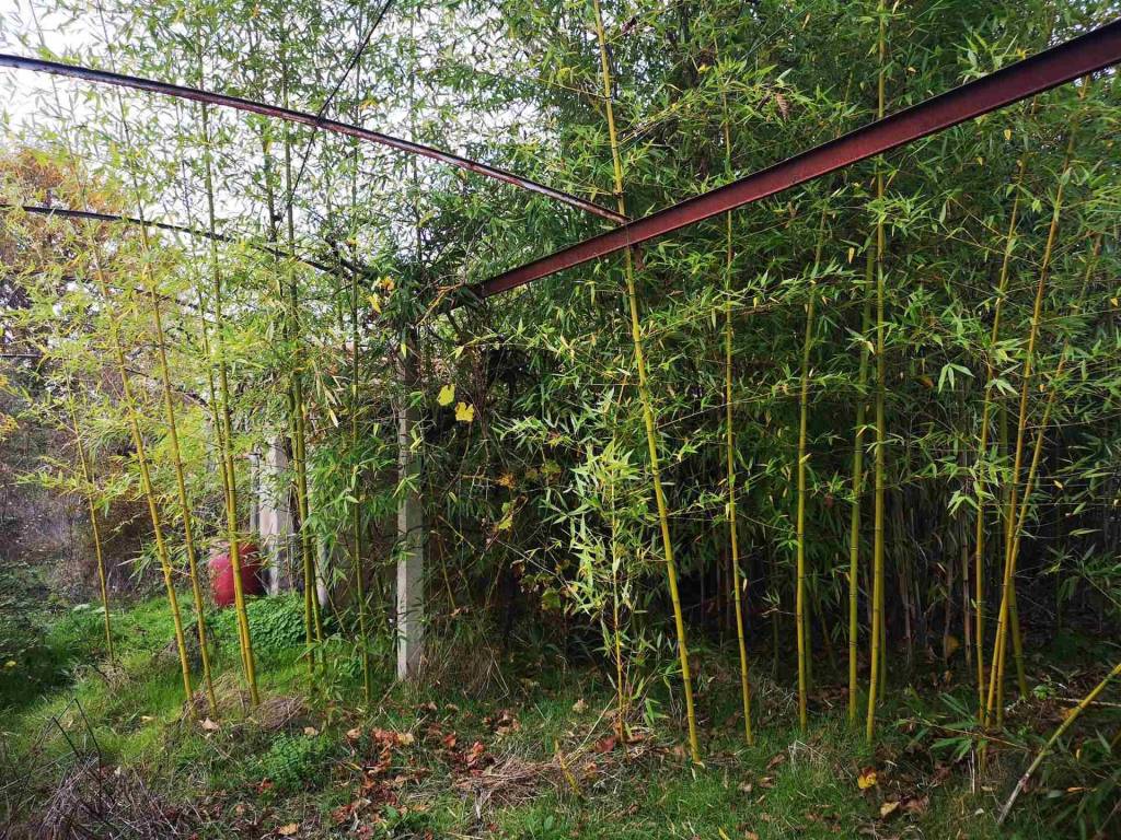 Terreno a Sinalunga - Foto 4