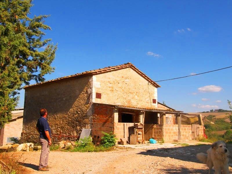 Rustico / casale a Asciano - Foto 4