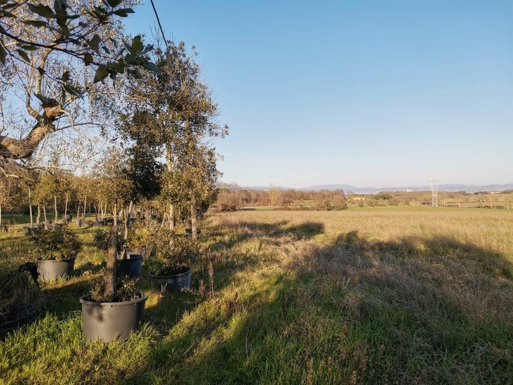 Terreno a Castiglione del lago - Foto 2