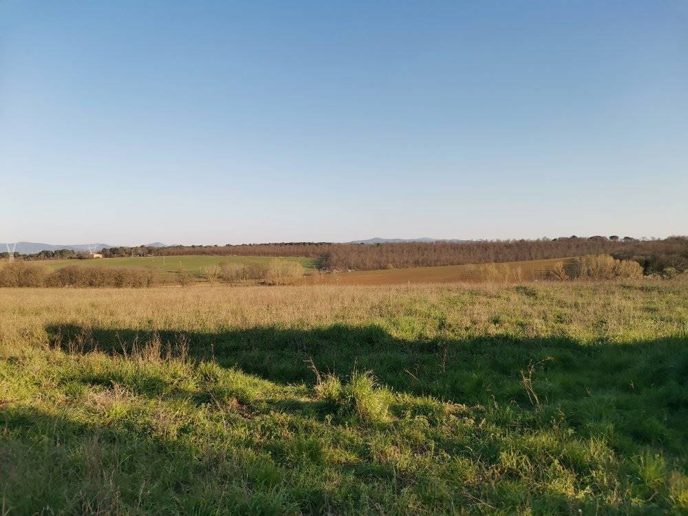 Terreno a Castiglione del lago - Foto 3