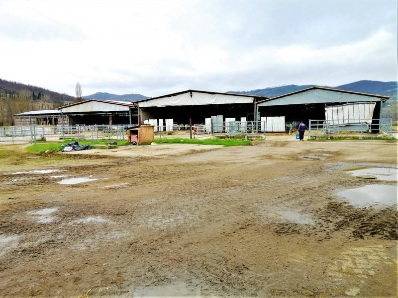 Terreno a Umbertide - Foto 2