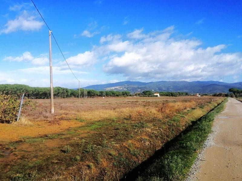 Terreno a Cortona - Foto 3