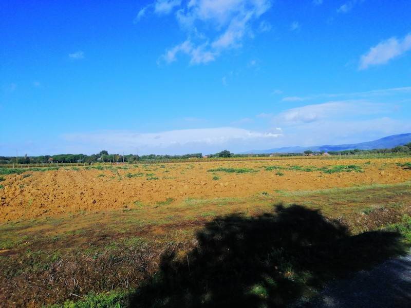Terreno a Cortona - Foto 5