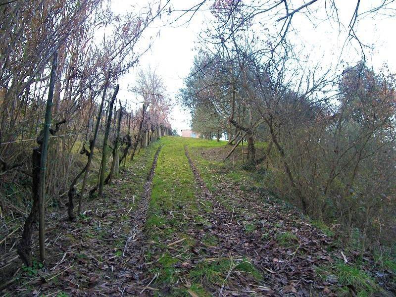 Terreno a Foiano della chiana - Foto 3