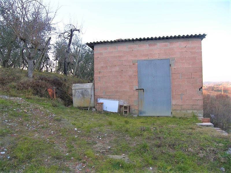 Terreno a Foiano della chiana - Foto 5