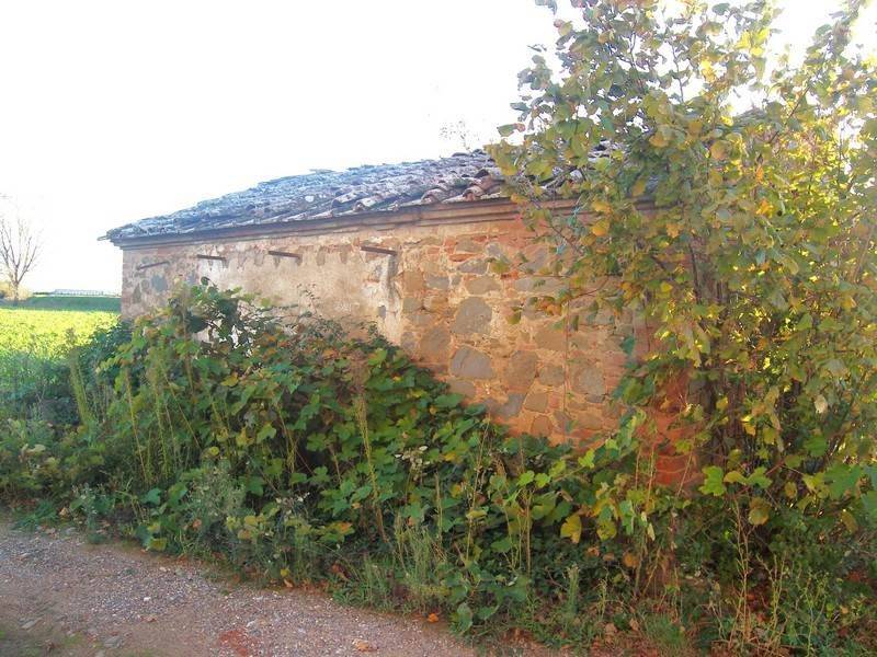 Rustico / casale a Sinalunga - Foto 5