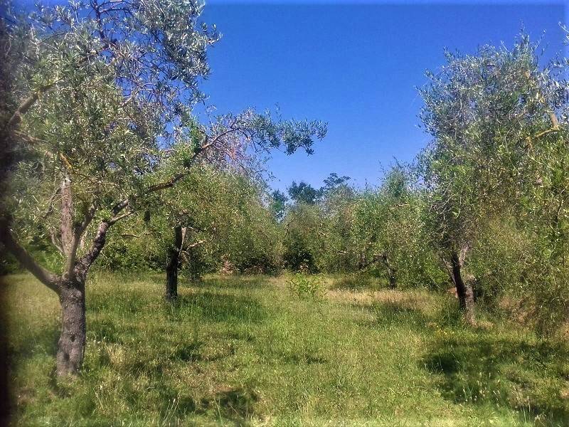 Villa a Sinalunga - Foto 2