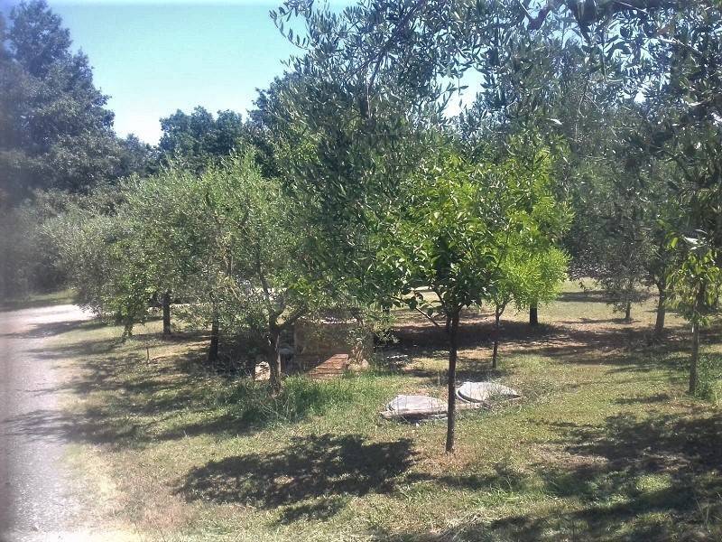 Villa a Sinalunga - Foto 4