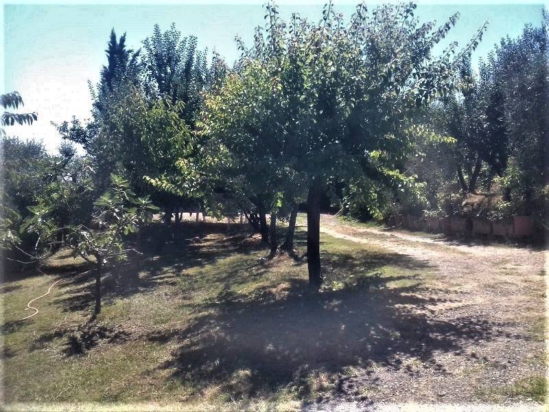Villa a Sinalunga - Foto 5