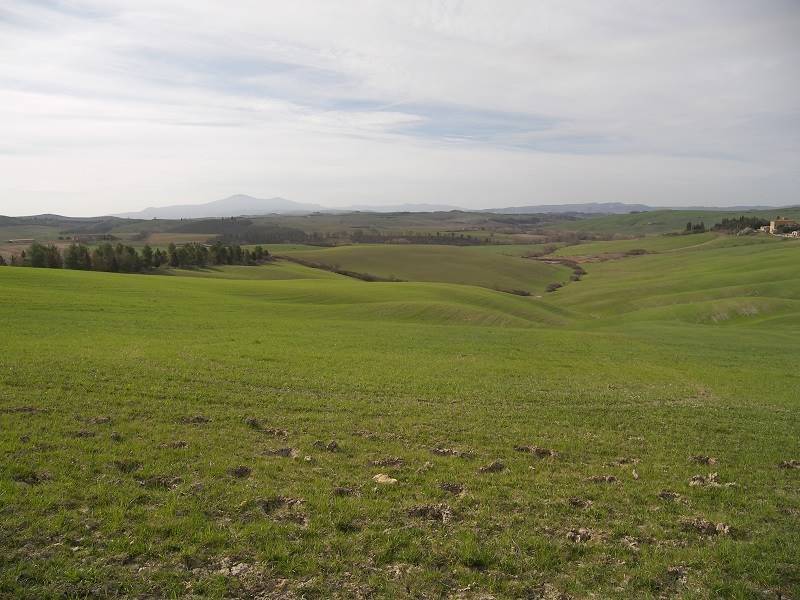 Terreno a Asciano - Foto 4