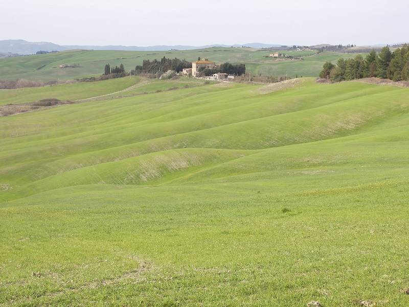 Terreno a Asciano - Foto 5