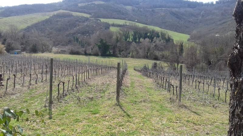 Casa indipendente a Castiglione in teverina - Foto 3