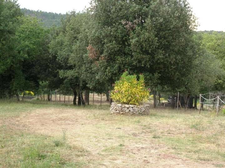 Rustico / casale a Rapolano terme - Foto 5