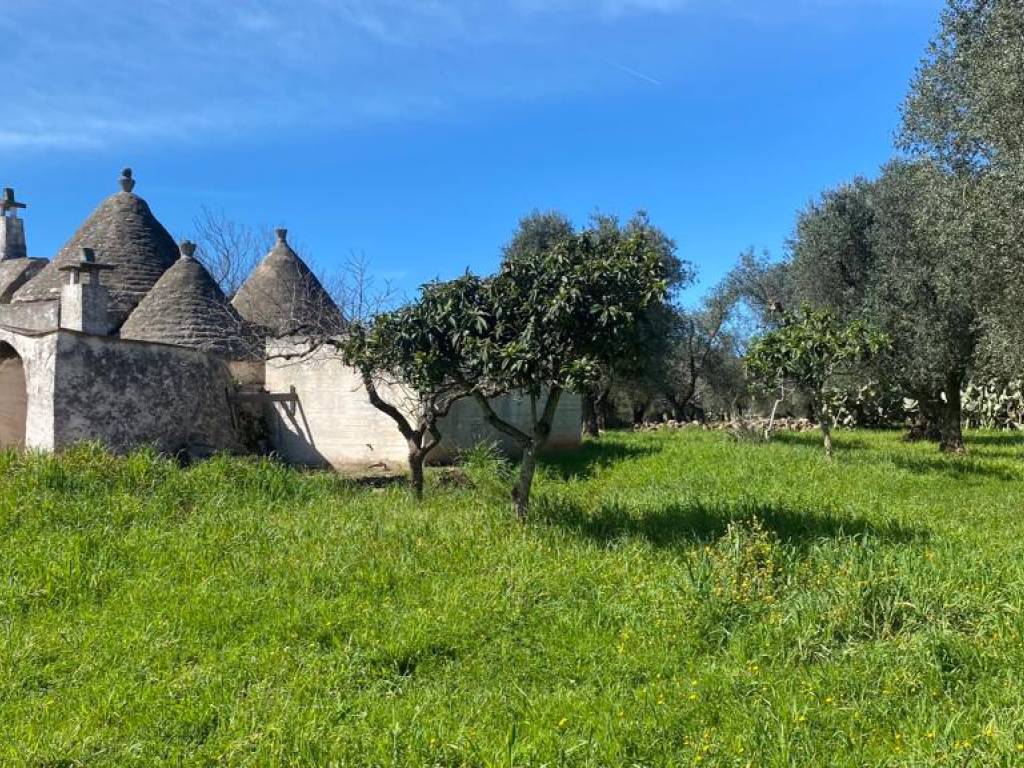 Rustico / casale a San michele salentino in SP28 - Foto 5