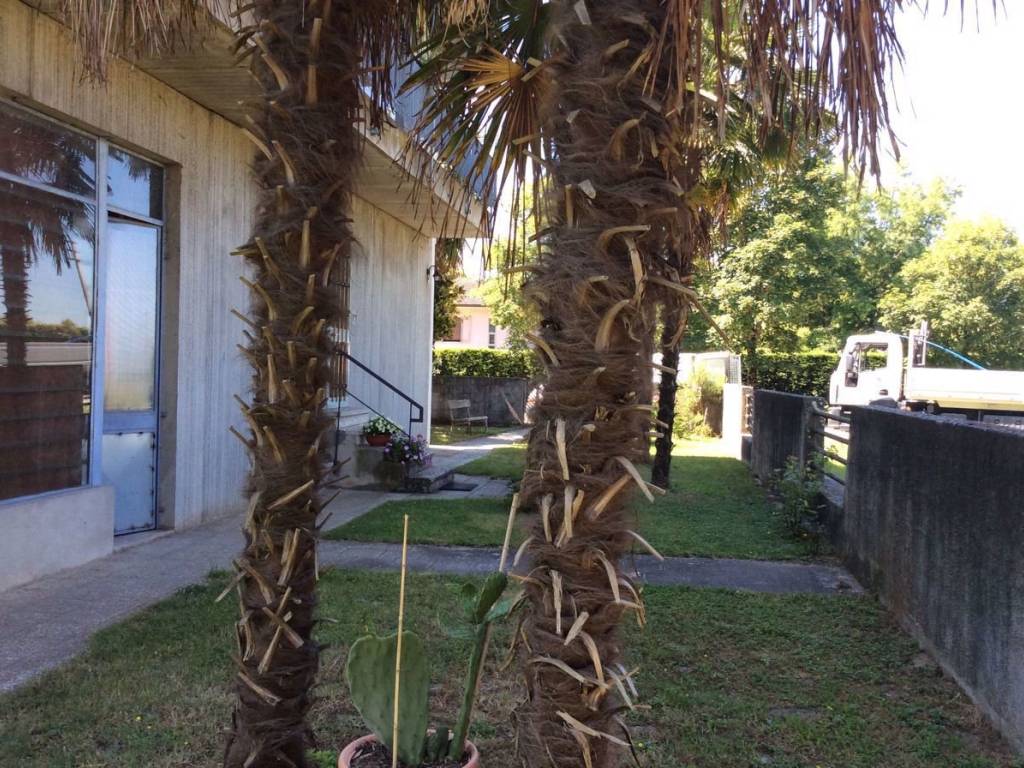 Palazzo / stabile a Gavello in GAVELLO Strada Provinciale 31 - Foto 5