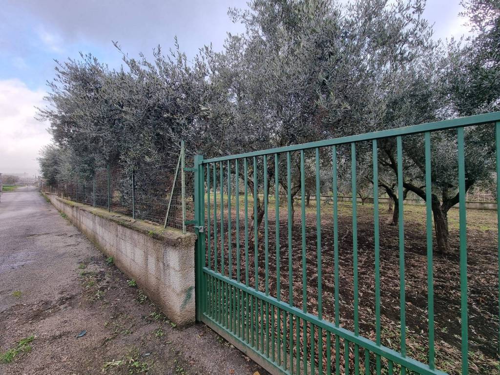 Terreno a Caserta in Via Sauda Vicinale Vairano - Foto 4