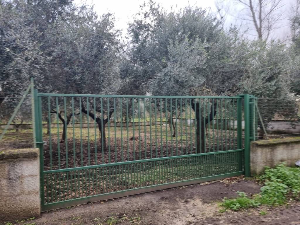 Terreno a Caserta in Via Sauda Vicinale Vairano - Foto 5