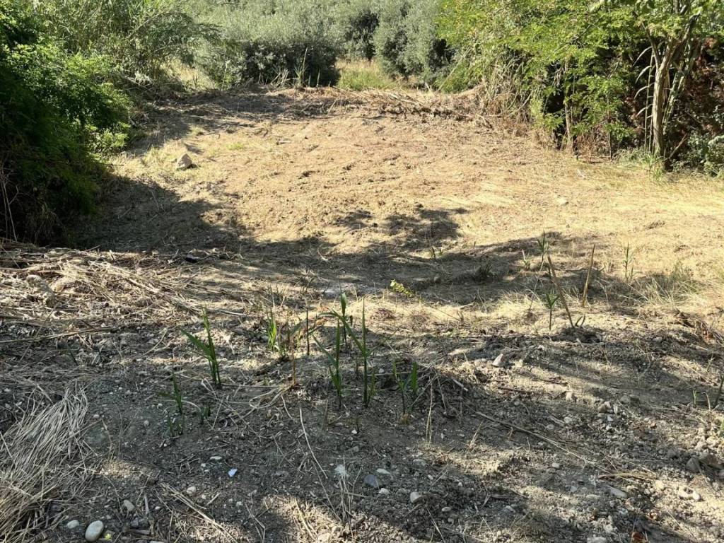 Terreno a Sant'elpidio a mare in via Celeste snc - Foto 2