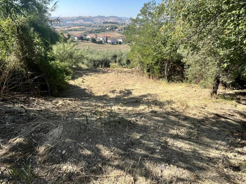 Terreno a Sant'elpidio a mare in via Celeste snc - Foto 3