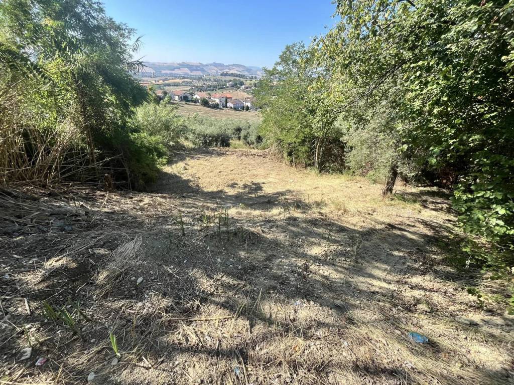 Terreno a Sant'elpidio a mare in via Celeste snc - Foto 4