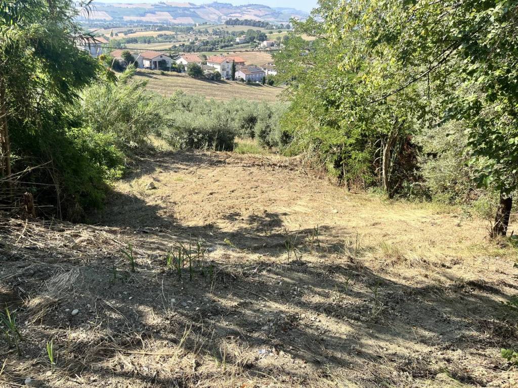 Terreno a Sant'elpidio a mare in via Celeste snc - Foto 5