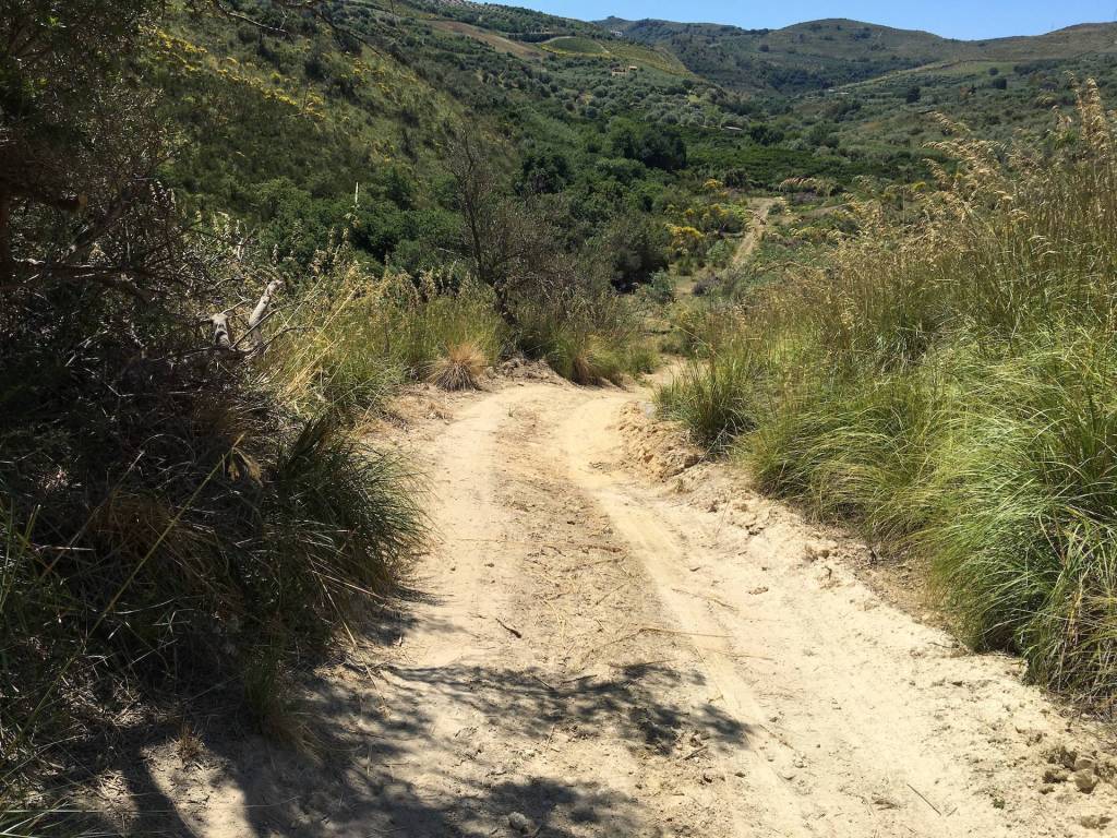 Terreno a Collesano in Strada Provinciale delle Madonie - Foto 3