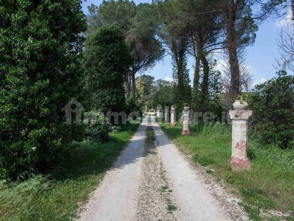 Immobile a Francavilla fontana in SP48 - Foto 5