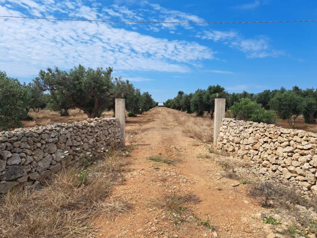 Terreno a Nardò in Strada Torre Termite - Foto 2