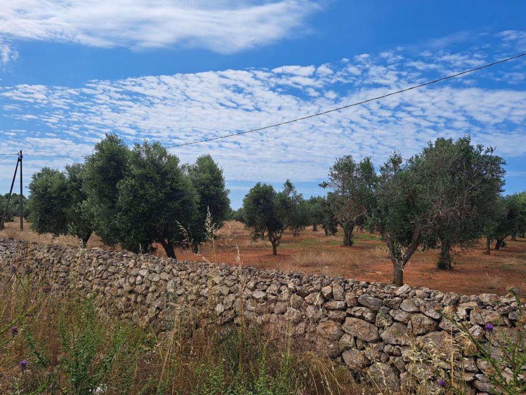 Terreno a Nardò in Strada Torre Termite - Foto 4