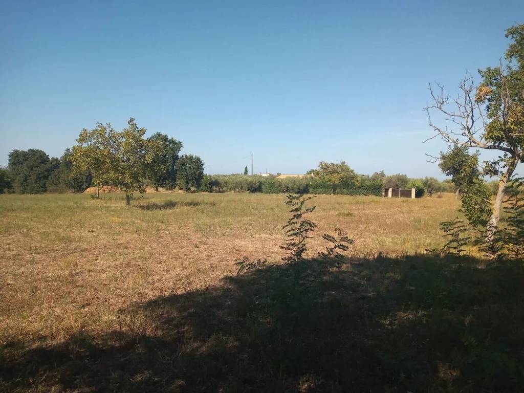 Rustico / casale a Ortona in Contrdada Fossato S.N.C. - Foto 2